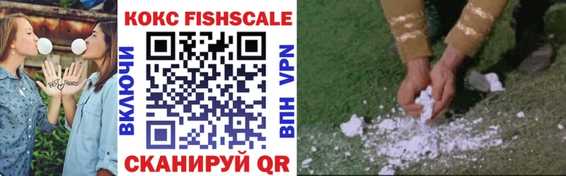 КОКАИН FishScale  Черногорск 