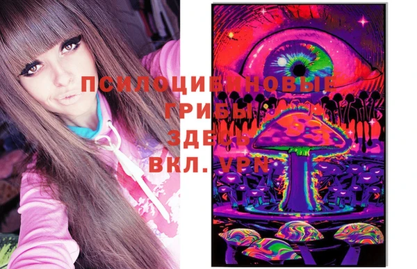 прущая мука Абаза