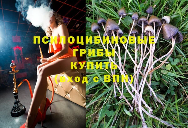 трава Абинск
