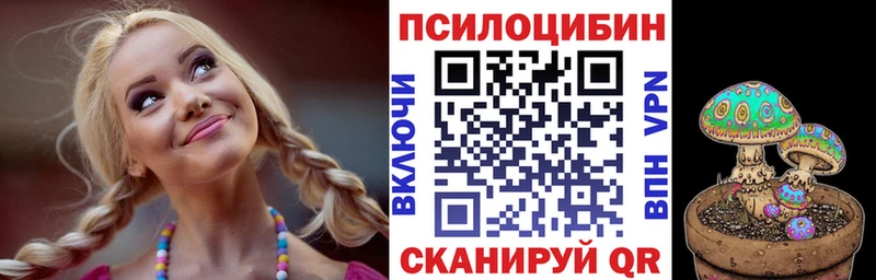 Галлюциногенные грибы мицелий  MEGA маркетплейс  Черногорск 